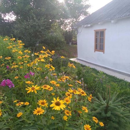Соколине Гніздо Dmitrenki Exterior foto
