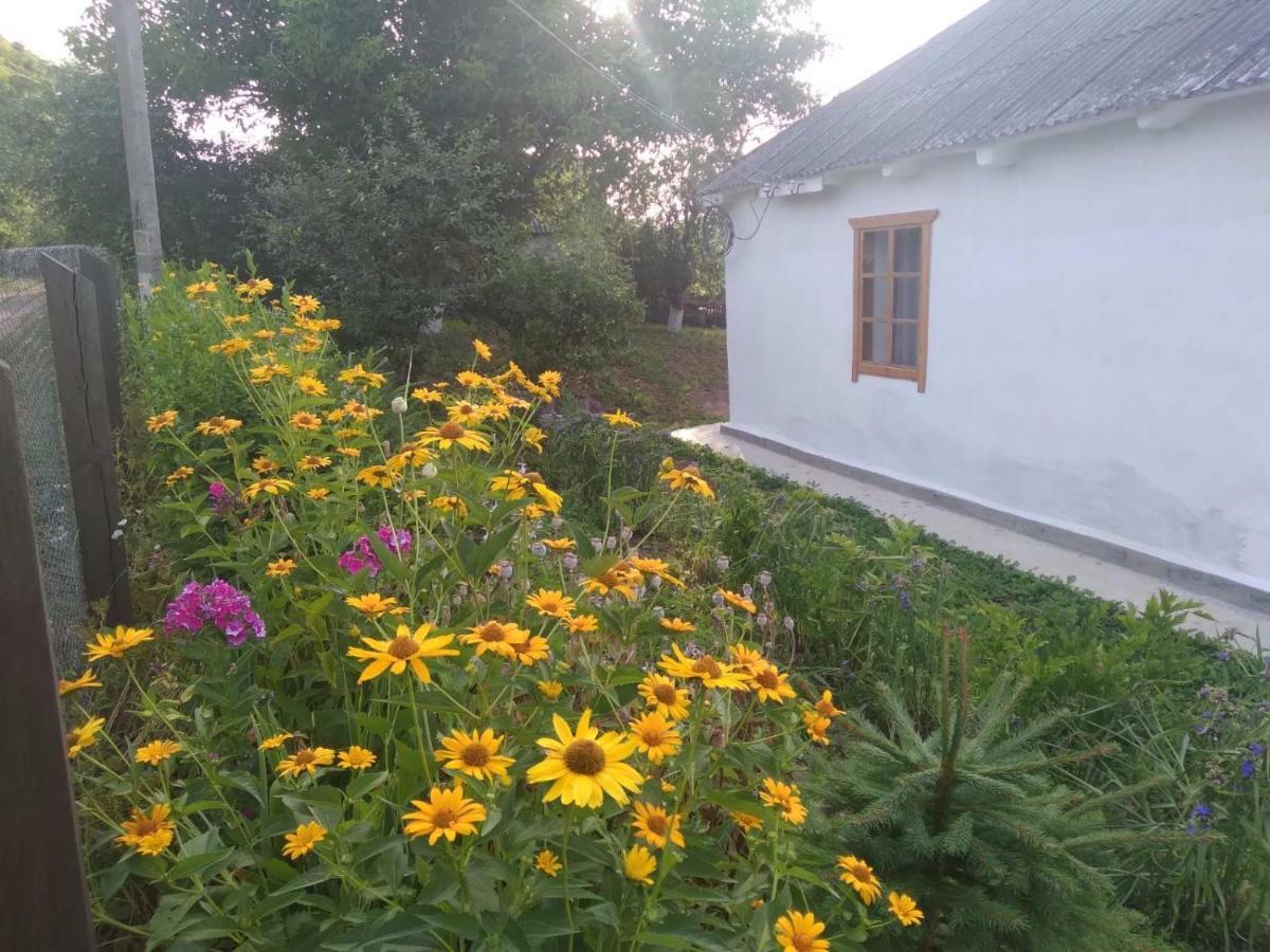 Соколине Гніздо Dmitrenki Exterior foto