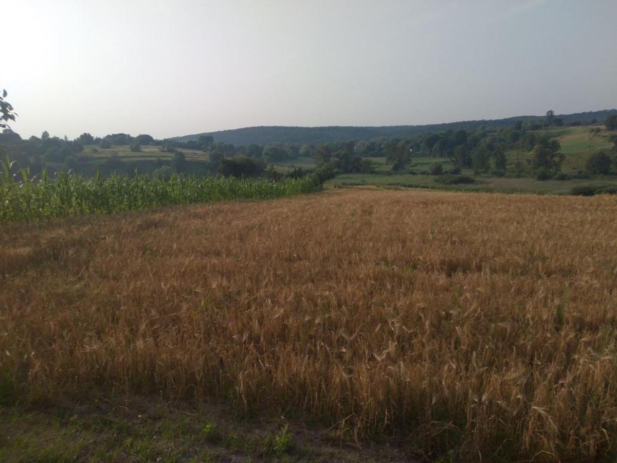 Соколине Гніздо Dmitrenki Exterior foto