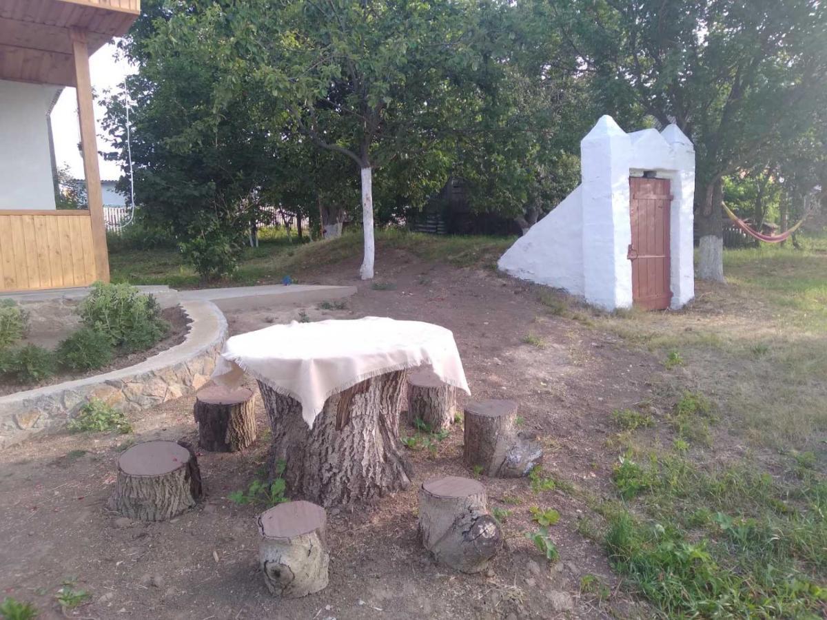Соколине Гніздо Dmitrenki Exterior foto