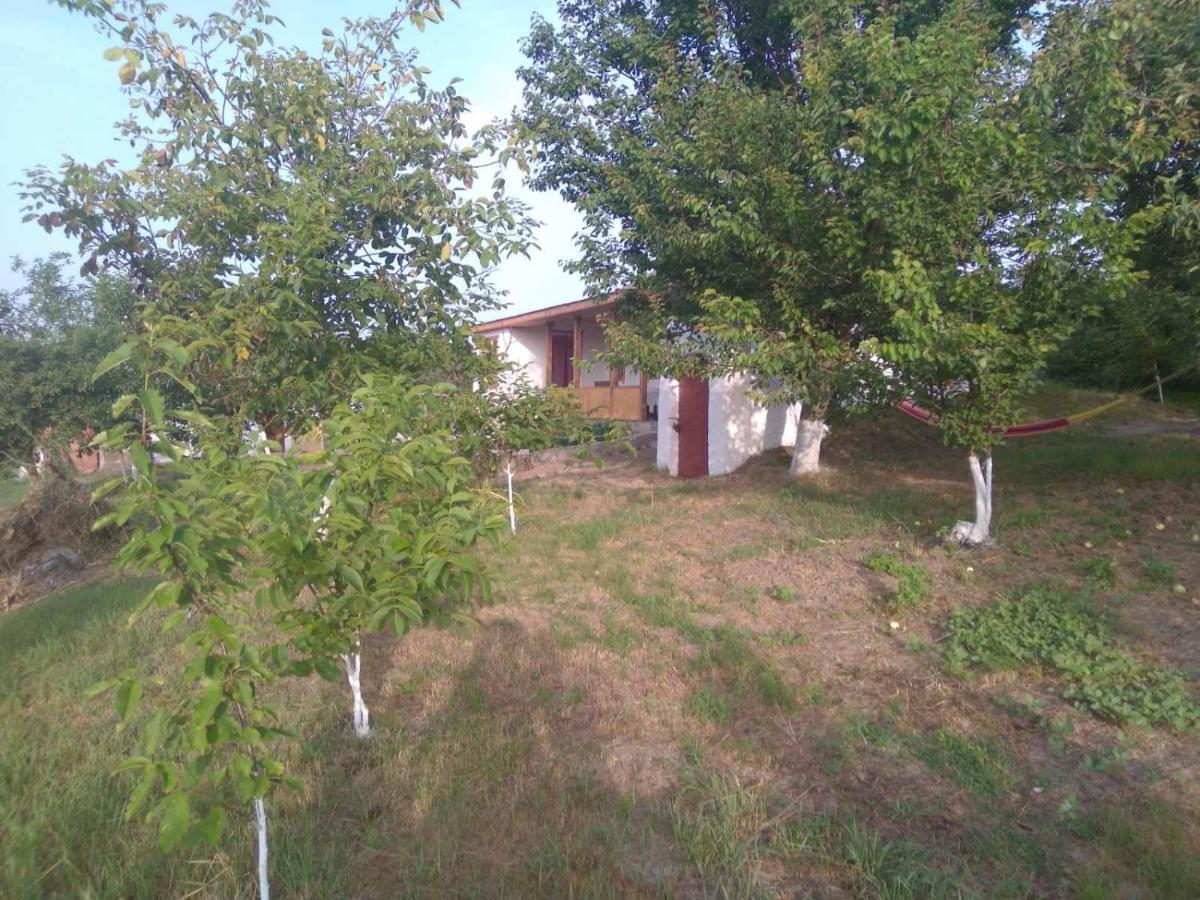 Соколине Гніздо Dmitrenki Exterior foto